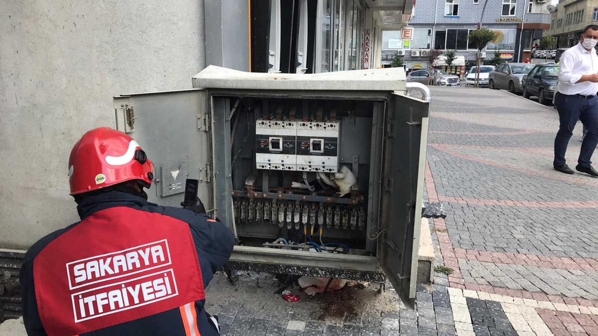 Sakarya’da trafoya giren kedi elektrik kesintisine neden oldu