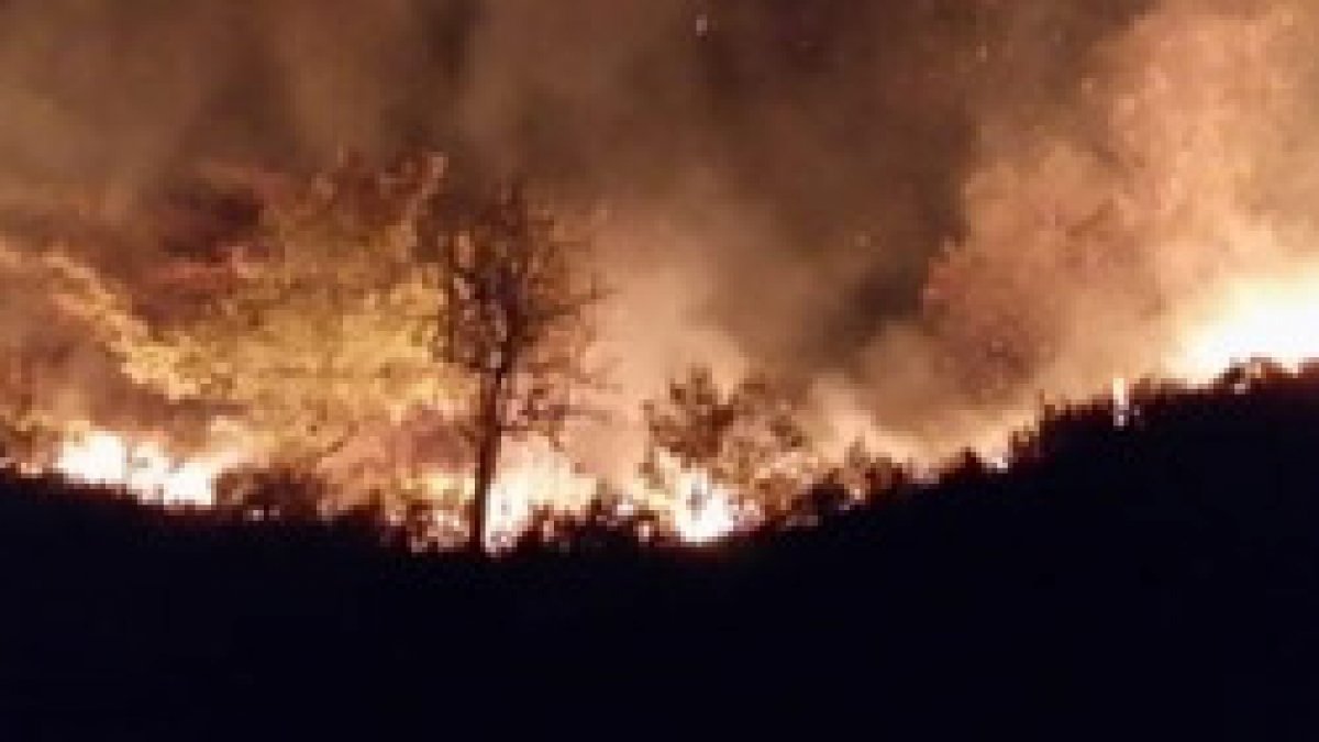 Düzce’de orman yangını