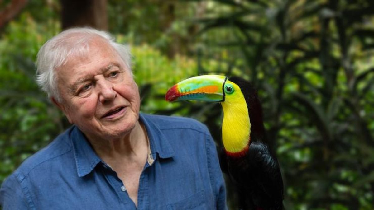 Sir David Attenborough, Instagram'da 1 milyon takipçiye en kısa sürede ulaşan isim oldu