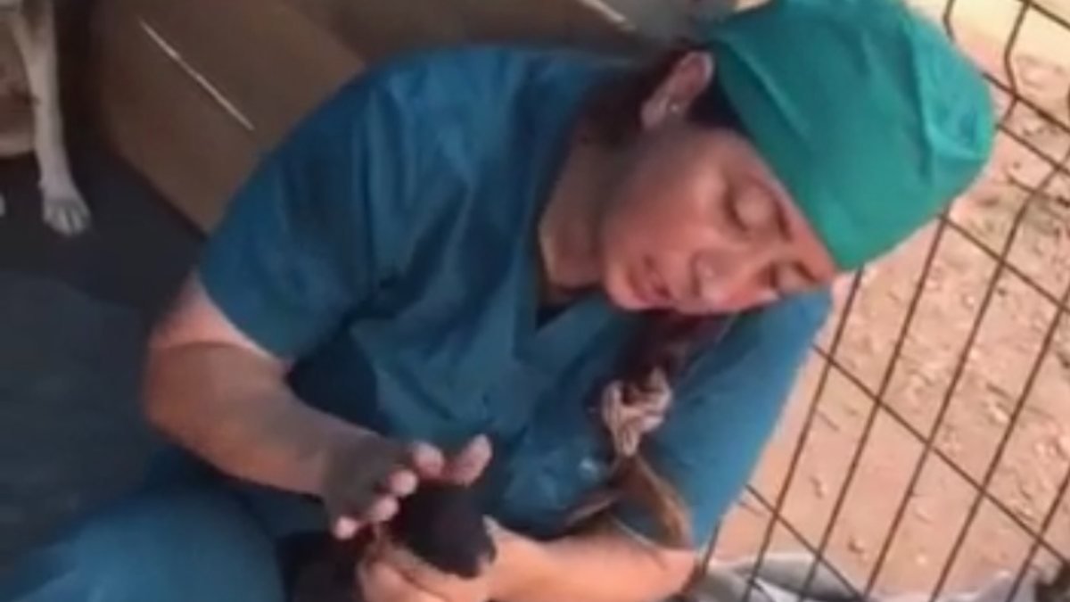 Bartın'da ölü doğan 4 yavru köpeği hayata döndüren kadın