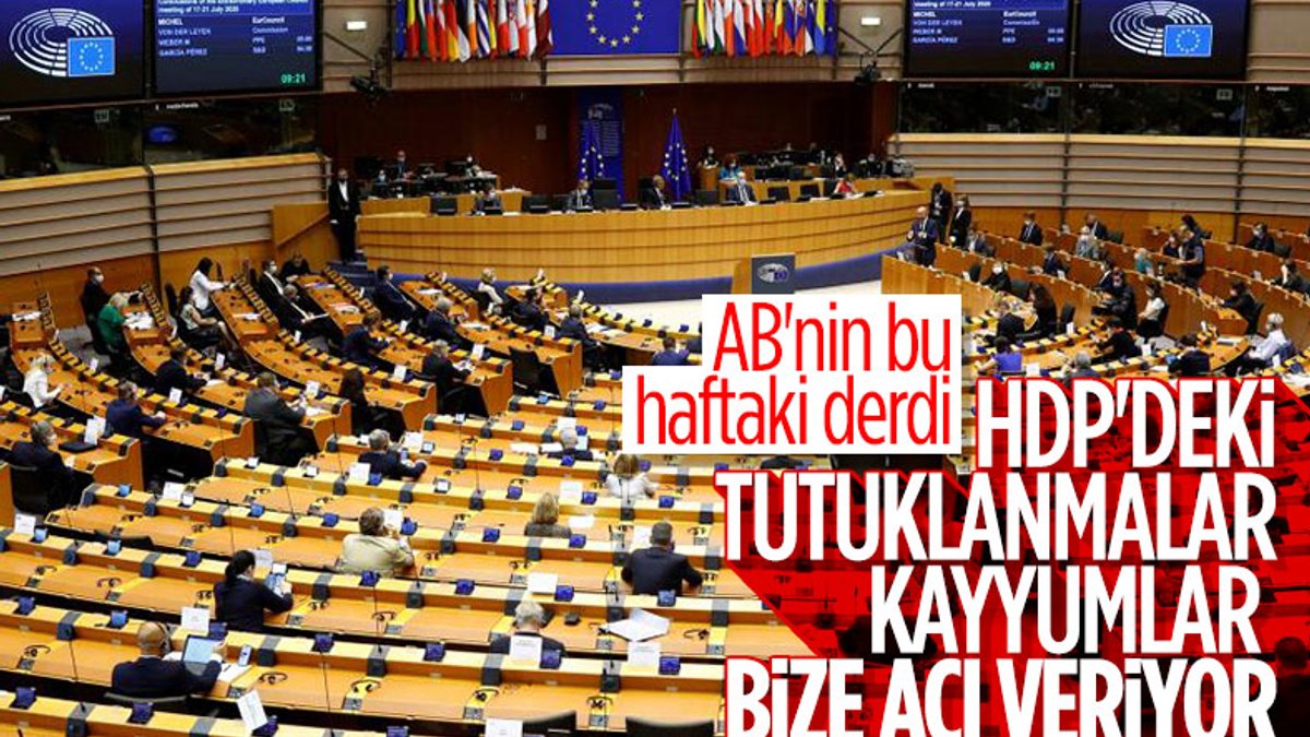 AB'den HDP'ye tutuklanmalar ile kayyumlara destek geldi