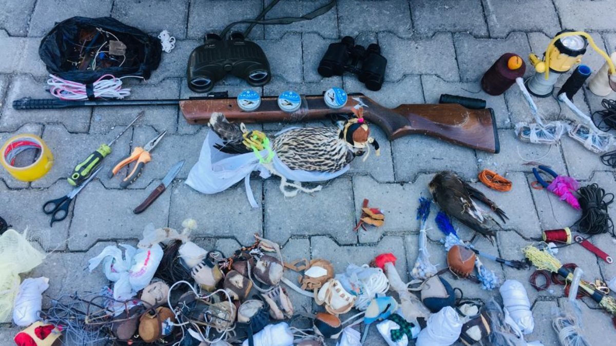 Kars'ta, tuzakla yırtıcı kuş avlayan 3 kişiye 176 bin lira ceza