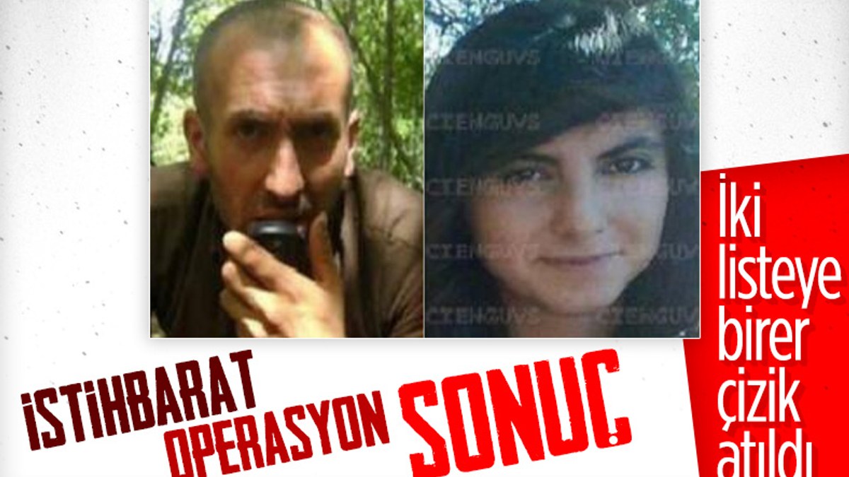 Tunceli'de kırmızı ve turuncu listede bulunan 2 terörist öldürüldü