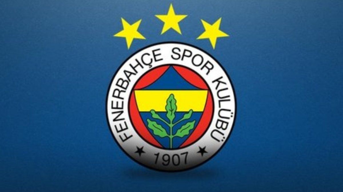 Fenerbahçe: 8.5 milyon euro kar elde ettik