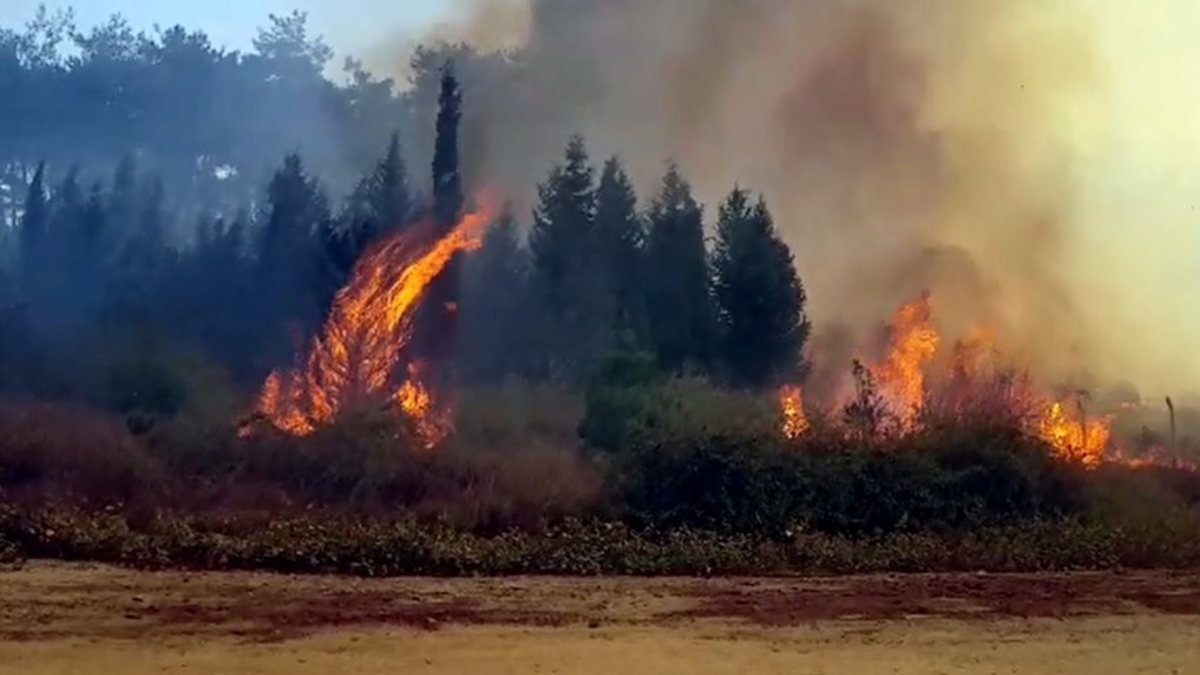 Kahramanmaraş'ta orman yangını çıktı