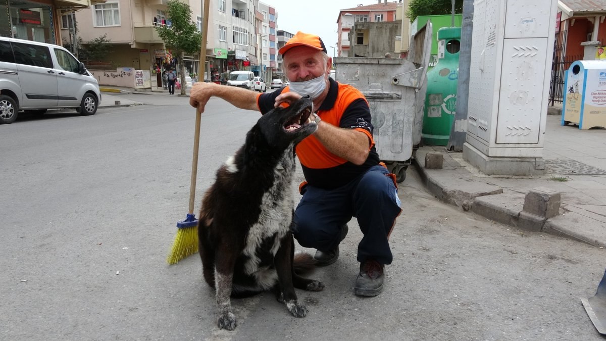 Temizlik işçisi süpürgesiyle sokak köpeğine masaj yaptı