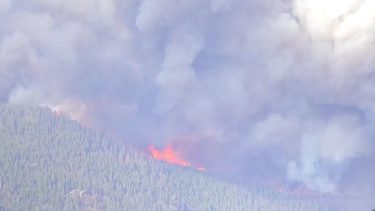 ABD'nin Colorado eyaletinde orman yangını