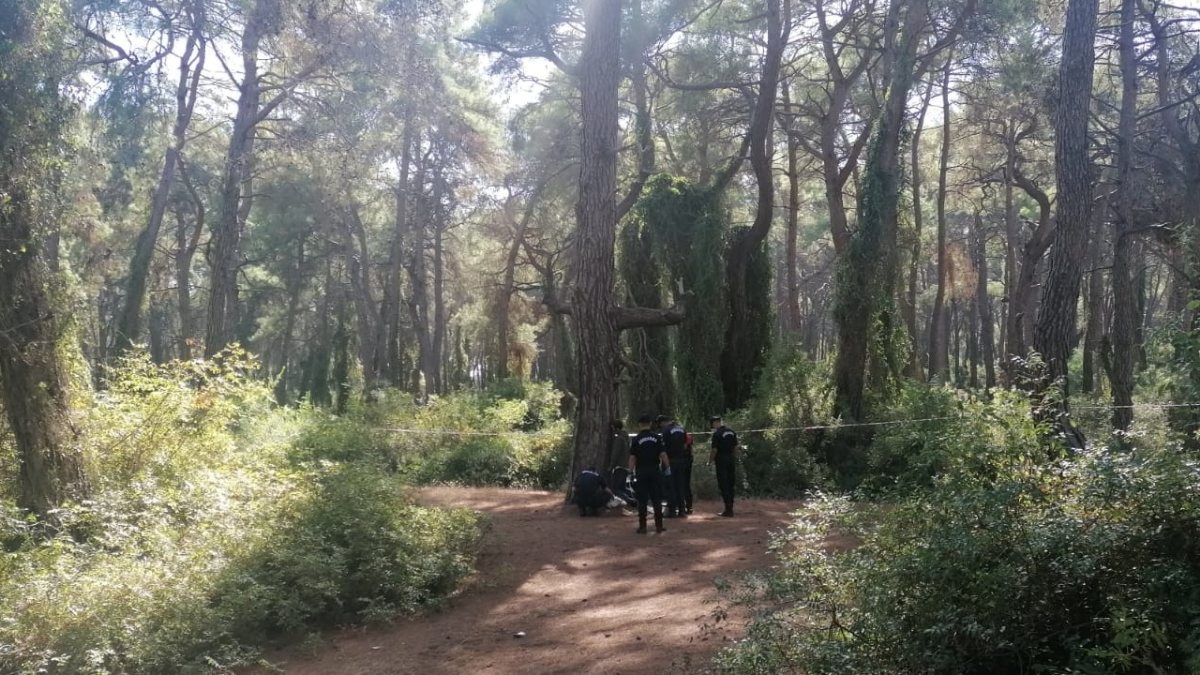 Antalya'da ata binen turist, ormanda ceset buldu