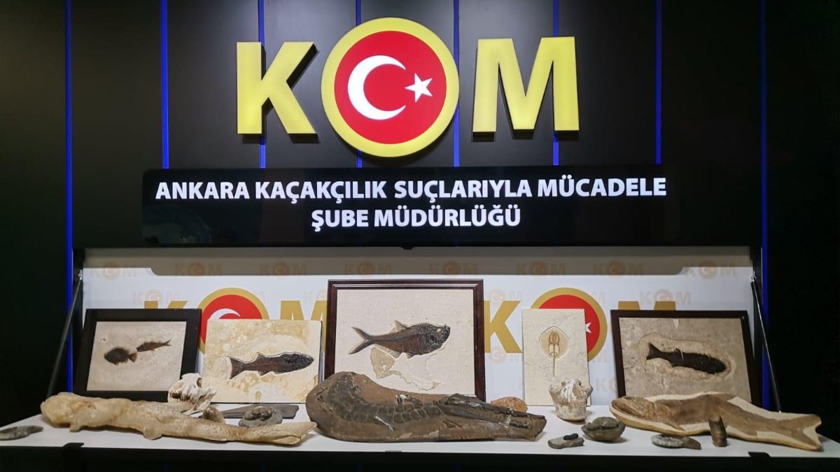 Ankara'da Adnan Oktar suç örgütüne 'kaçak fosil' operasyonu gerçekleştirildi