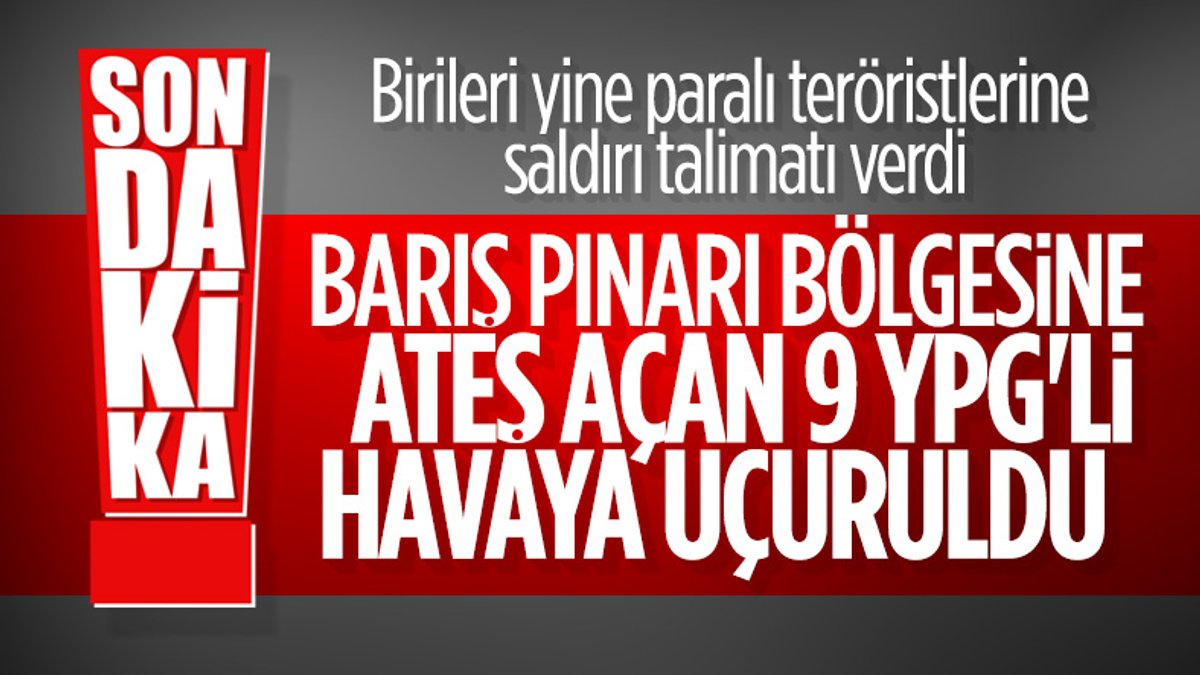Barış Pınarı bölgesinde 9 terörist öldürüldü