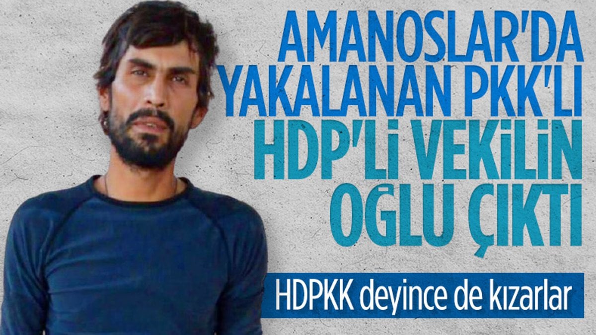 Eski HDP milletvekili Demir Çelik'in terörist oğlu sağ yakalandı