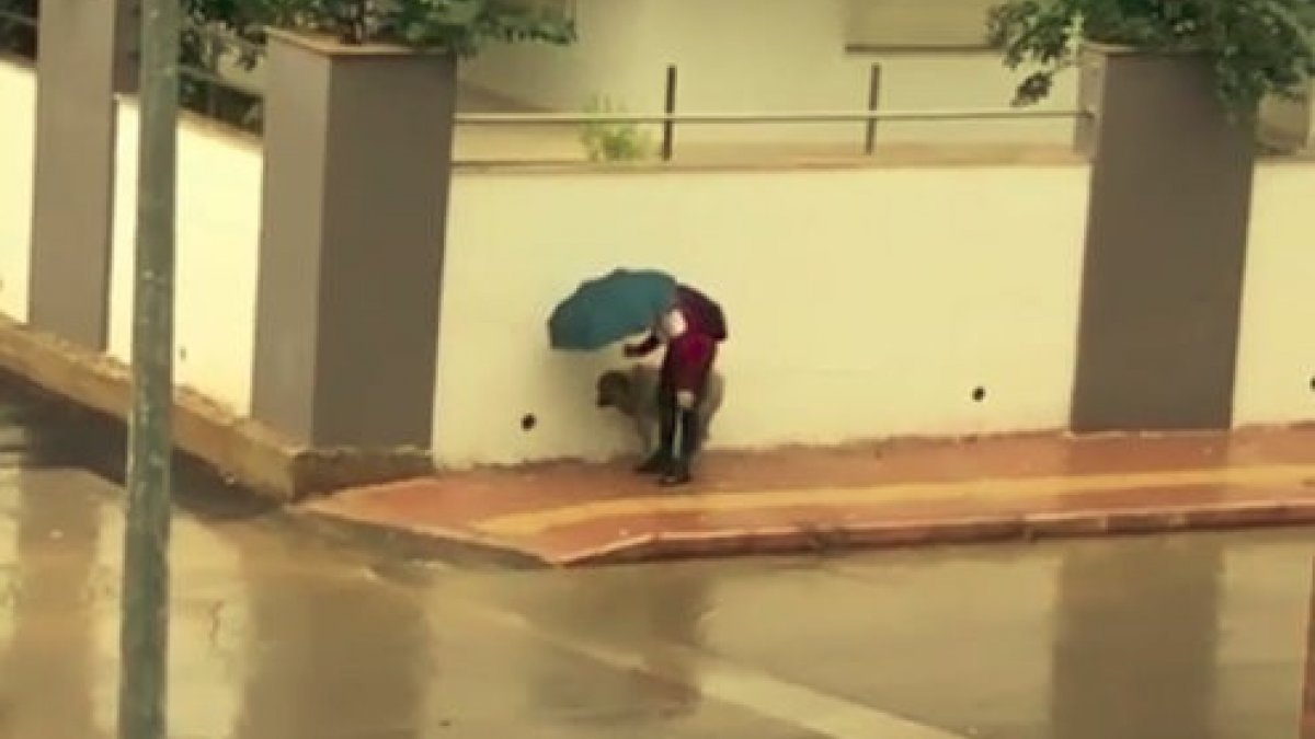 Antalya'da ıslanan köpeği şemsiye ile korudu
