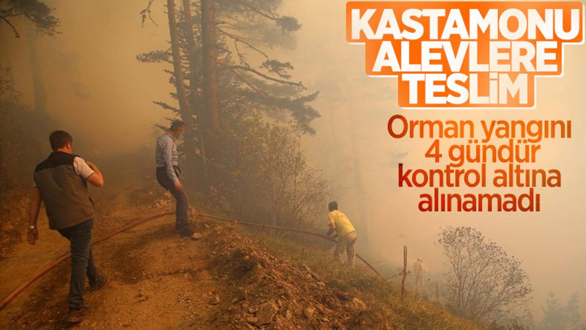 Kastamonu'daki orman yangını 4 gündür söndürülemedi