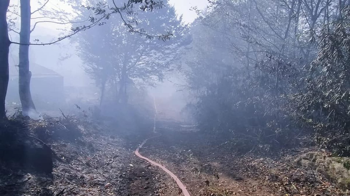 Ordu’daki orman yangınında, 10 hektarlık alan zarar gördü