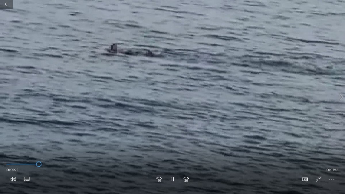 Bakırköy'de denize giren adam boğuldu