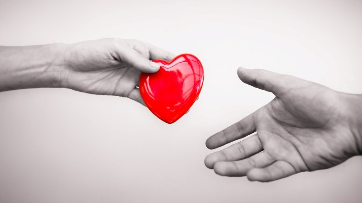 Organ Bağışı Haftası: Organ bağışı nedir, nasıl gerçekleştirilir? Organ bağışı şartları nelerdir?