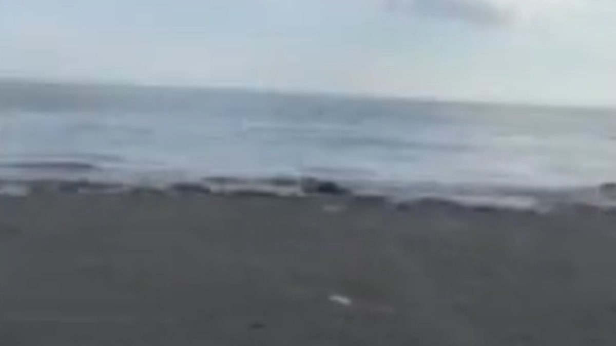 Deprem sırasında Seferihisar'da oluşan dalgalardan kaçan kişiler