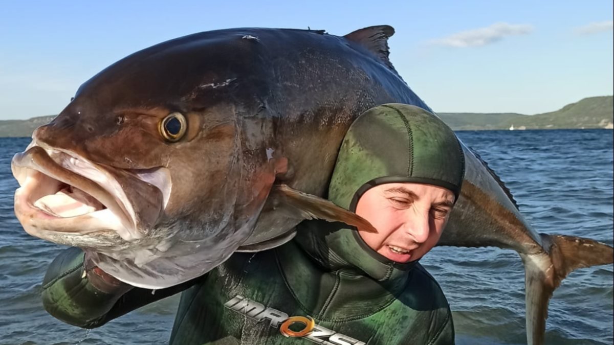 Çanakkaleli dalgıç, zıpkınla 58 kilo ağırlığında balık avladı