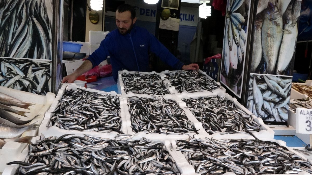 Trabzon'da balıkçı tezgahlarında hamsi yerini aldı