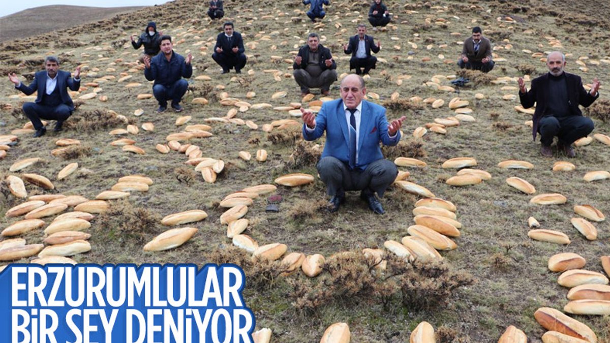 Erzurum'da doğaya yine 2001 ekmek bıraktılar