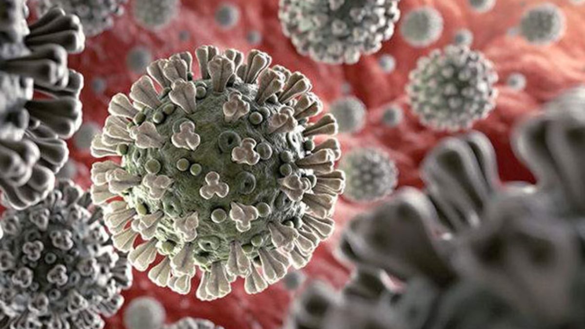 Koronavirüs ikinci kez bulaşır mı? Koronavirüsü atlatan biri tekrar hasta olabilir mi?