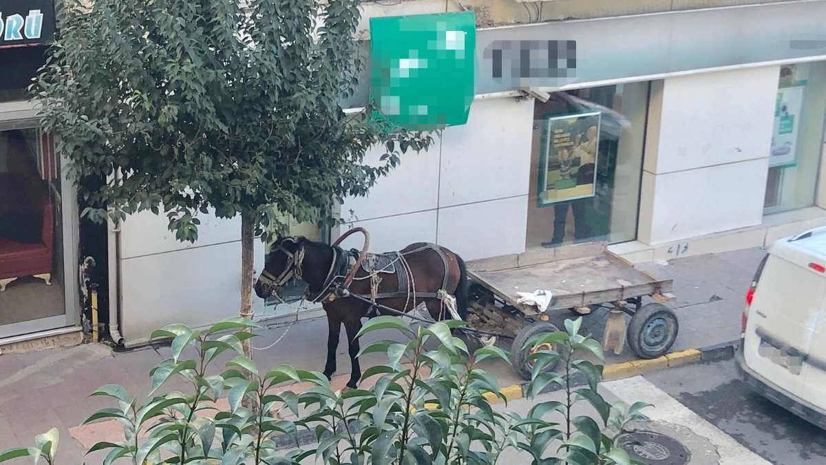 Edirne'de at arabasını kaldırıma park eden sahibine 132 lira ceza