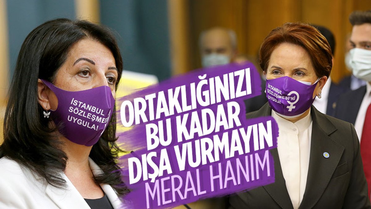Meral Akşener ve Pervin Buldan, grup toplantılarına aynı maskeyle geldi