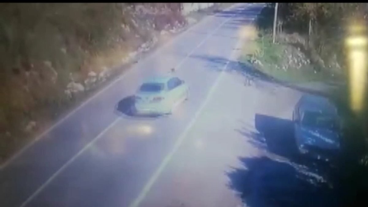 Sakarya'da otomobiliyle yavru köpeğe çarpıp kaçan sürücü