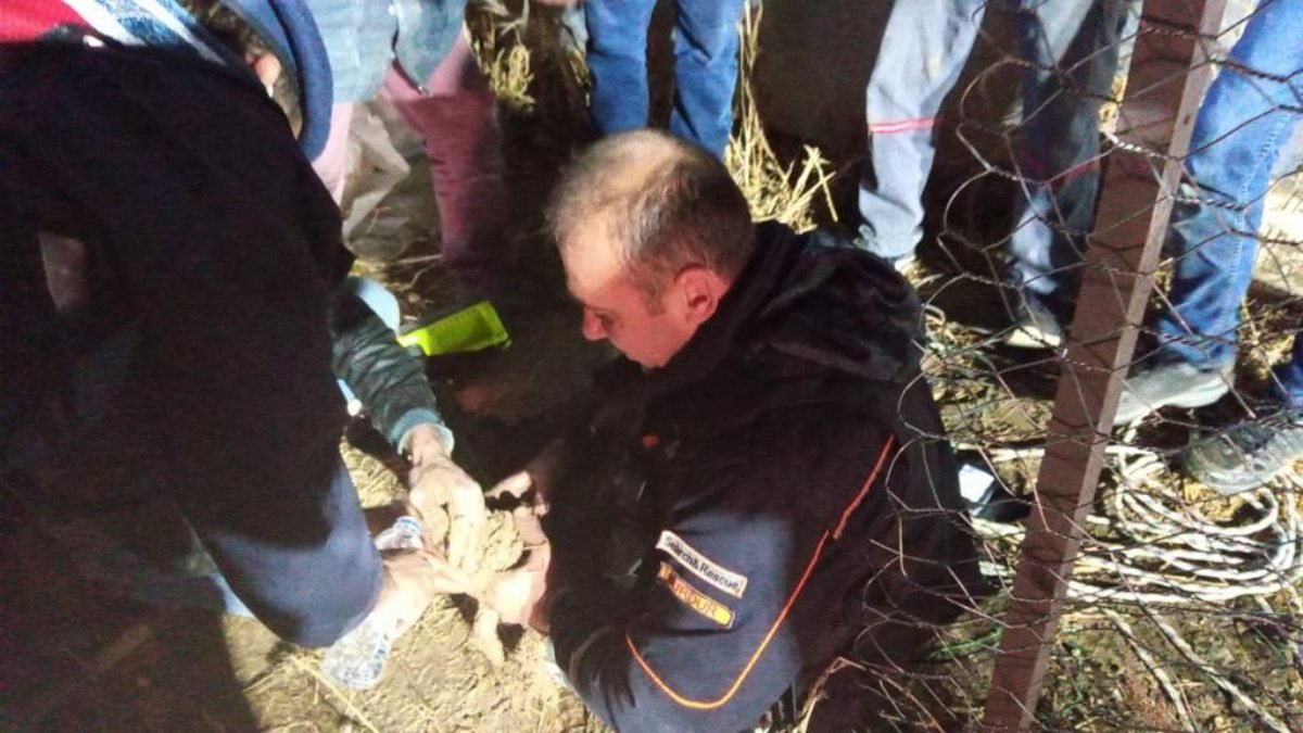 Burdur'da sondaj kuyusuna düşen köpek kurtarıldı