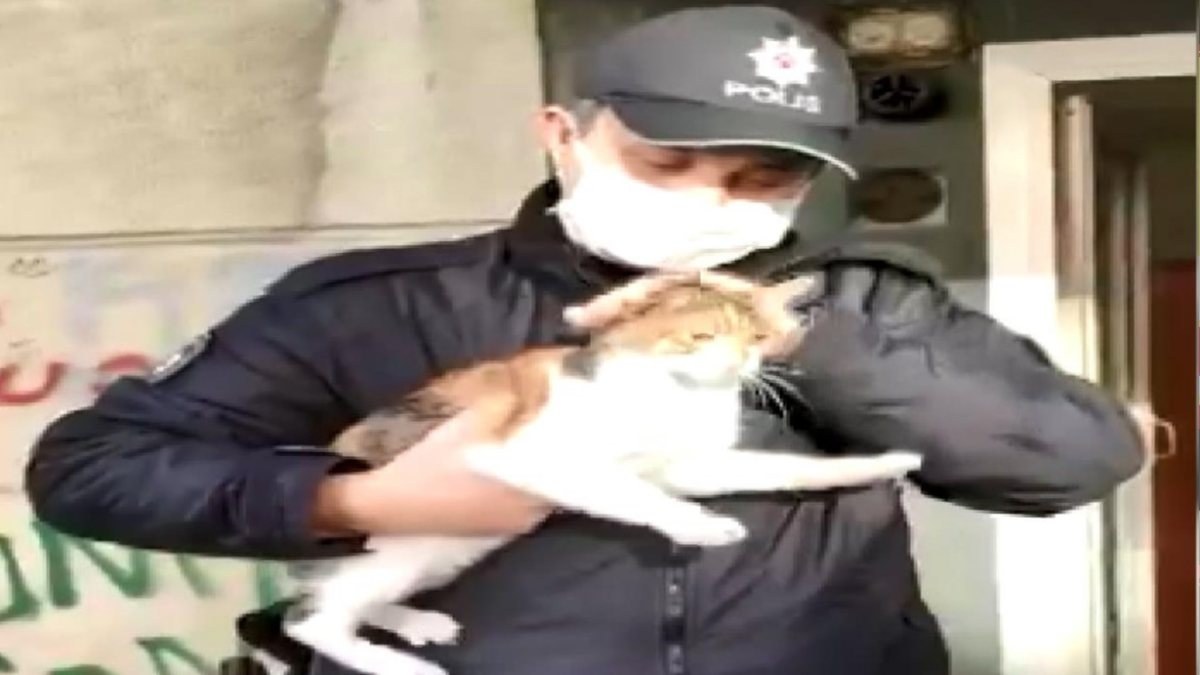 Bahçelievler’de mahsur kalan kediyi, polisin dikkati kurtardı