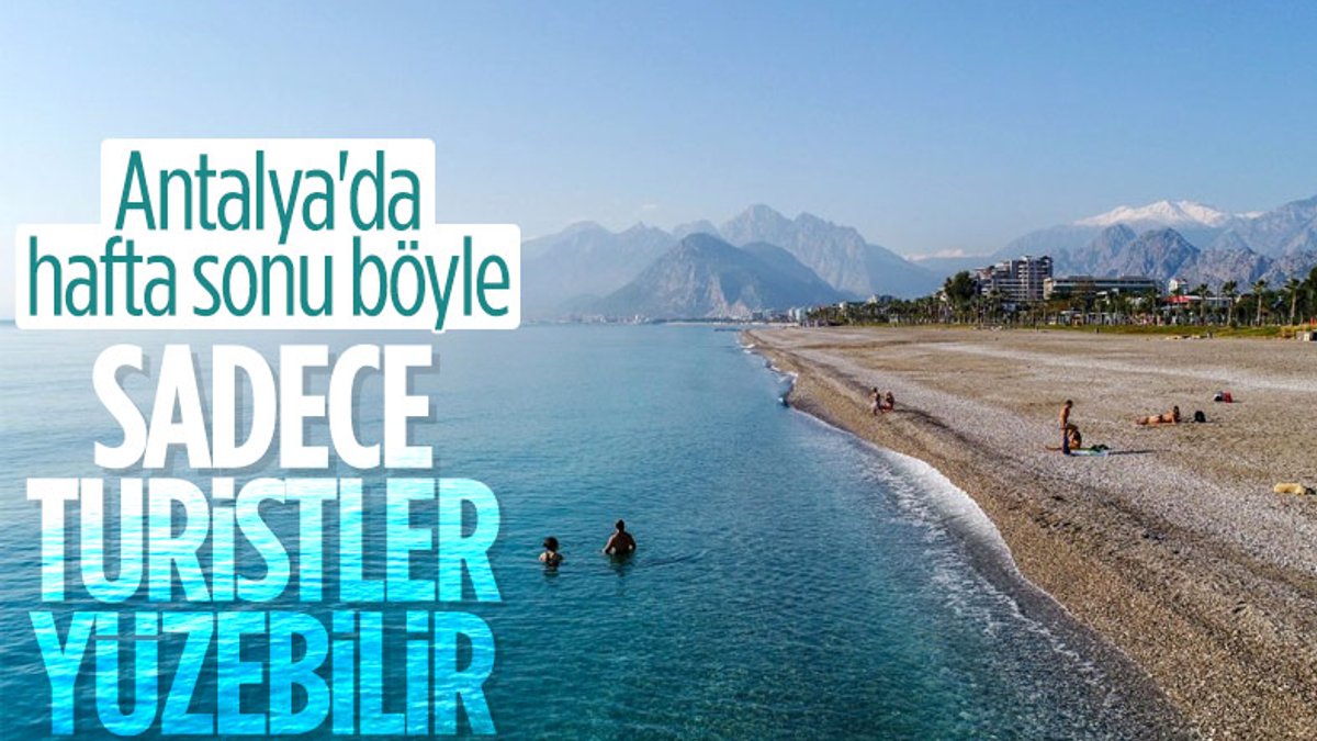Vaka artışı yüzde 100 Antalya'da, sahiller turist ve köpeklere kaldı