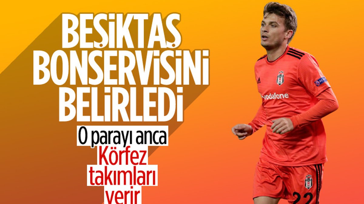 Beşiktaş, Ljajic için 5 milyon euro istiyor