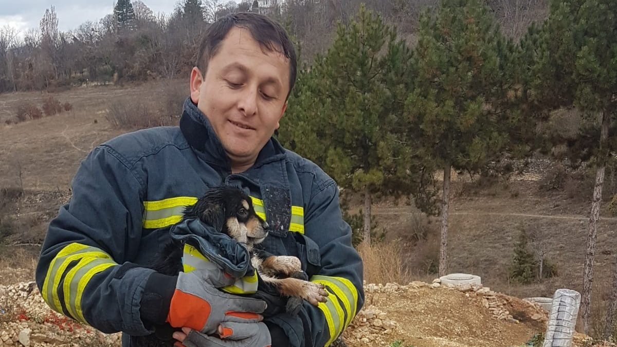 Karabük'te dereye düşen kedi ve yavru köpek kurtarıldı
