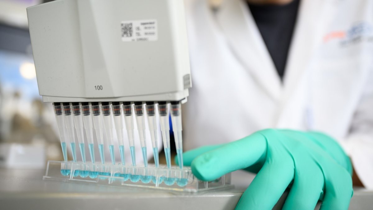 Alman CureVac, koronavirüs aşısında son aşamaya geçti