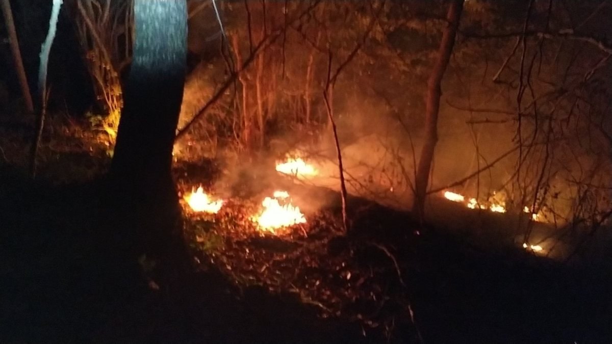 Trabzon'da örtü yangını