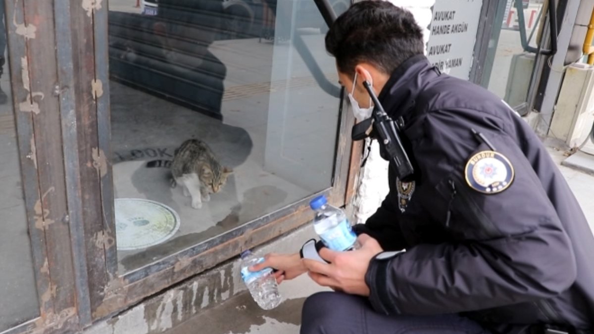 Burdur'da aç ve susuz kediyi polis besledi
