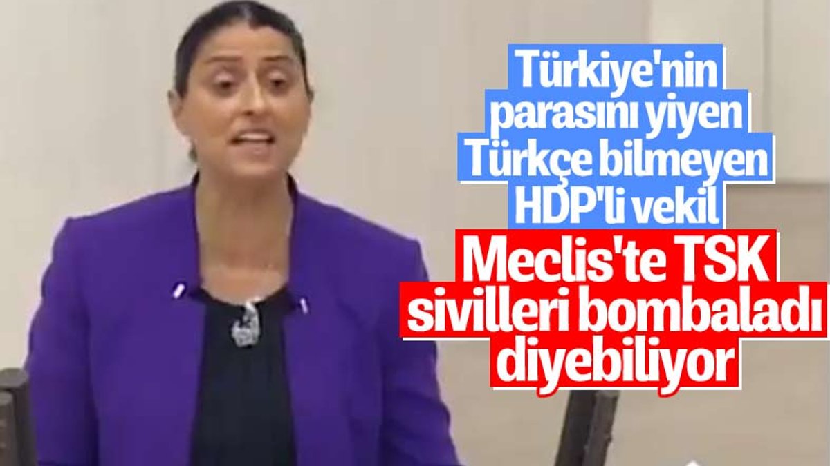 HDP'li Feleknas Uca: Türkiye Şengal’i bombaladı