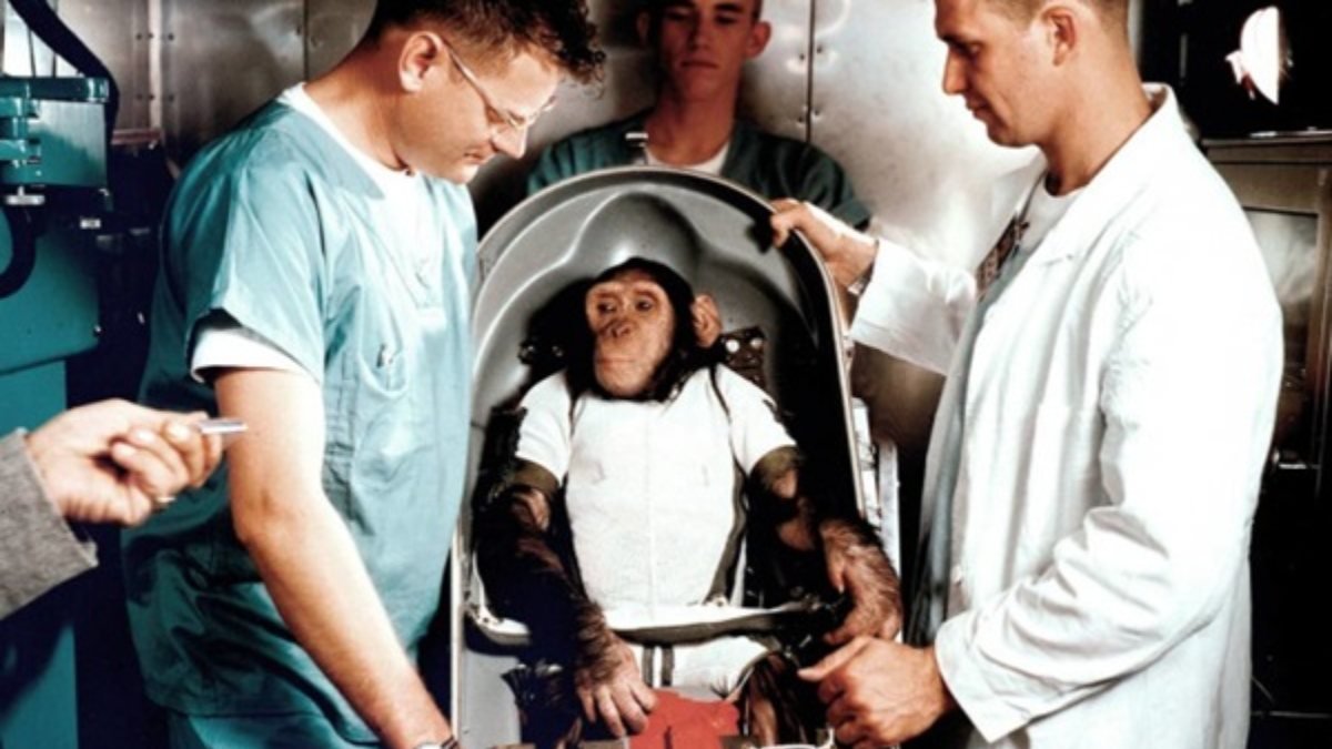 NASA, araştırma merkezinde bulunan 27 maymunu öldürdü