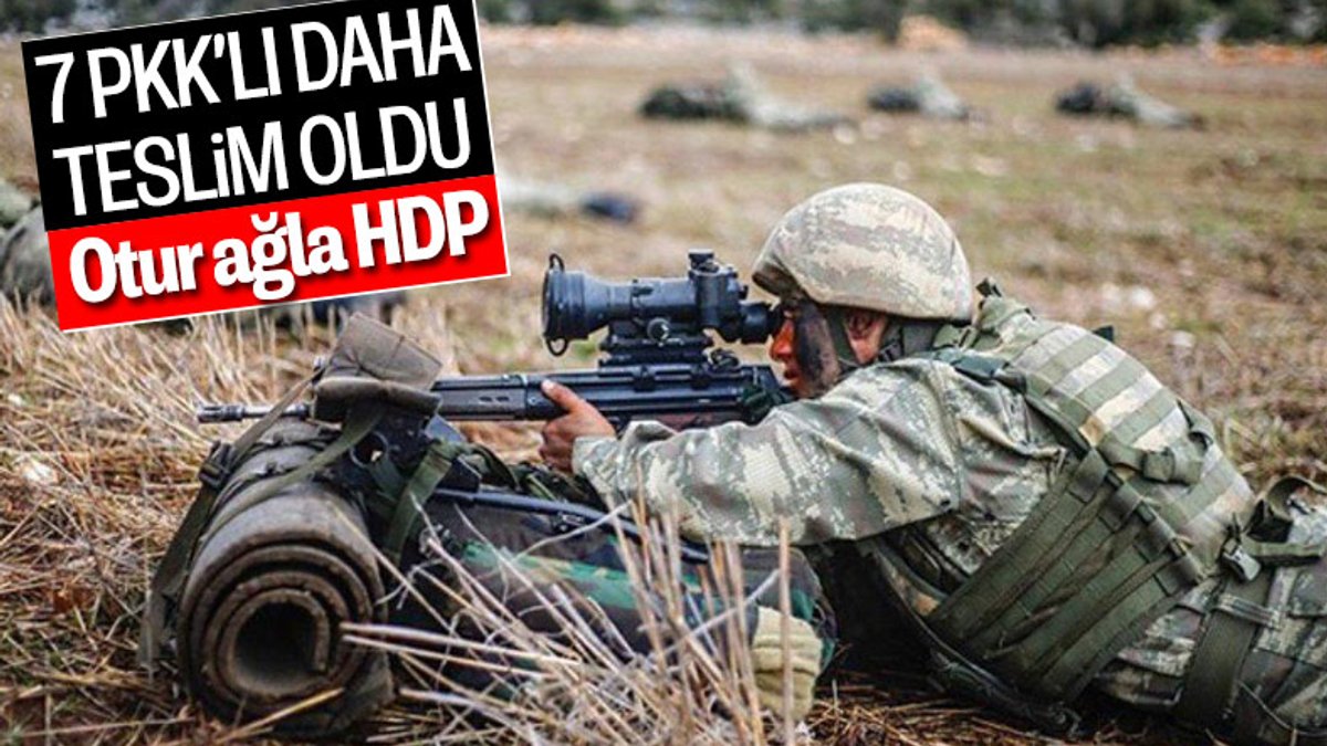 PKK'dan kaçan 7 terörist teslim oldu