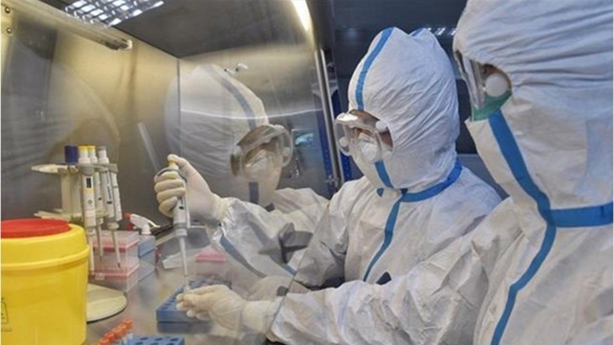 Çin: Koronavirüsün laboratuvardan sızma olasılığı yok