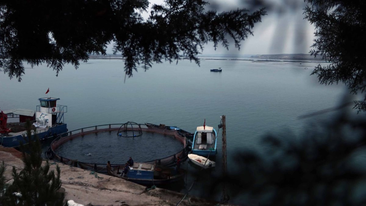 Gaziantep'in somon balığı, dünyaya ihraç ediliyor