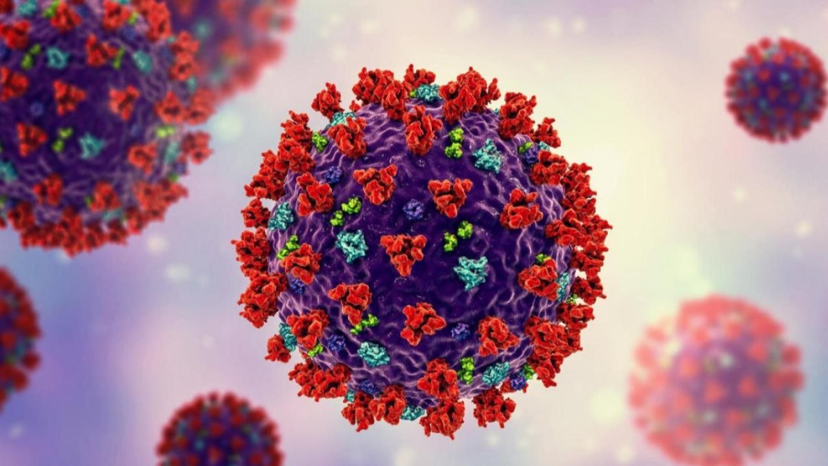 Mutasyona uğrayan koronavirüs İspanya'da da görüldü
