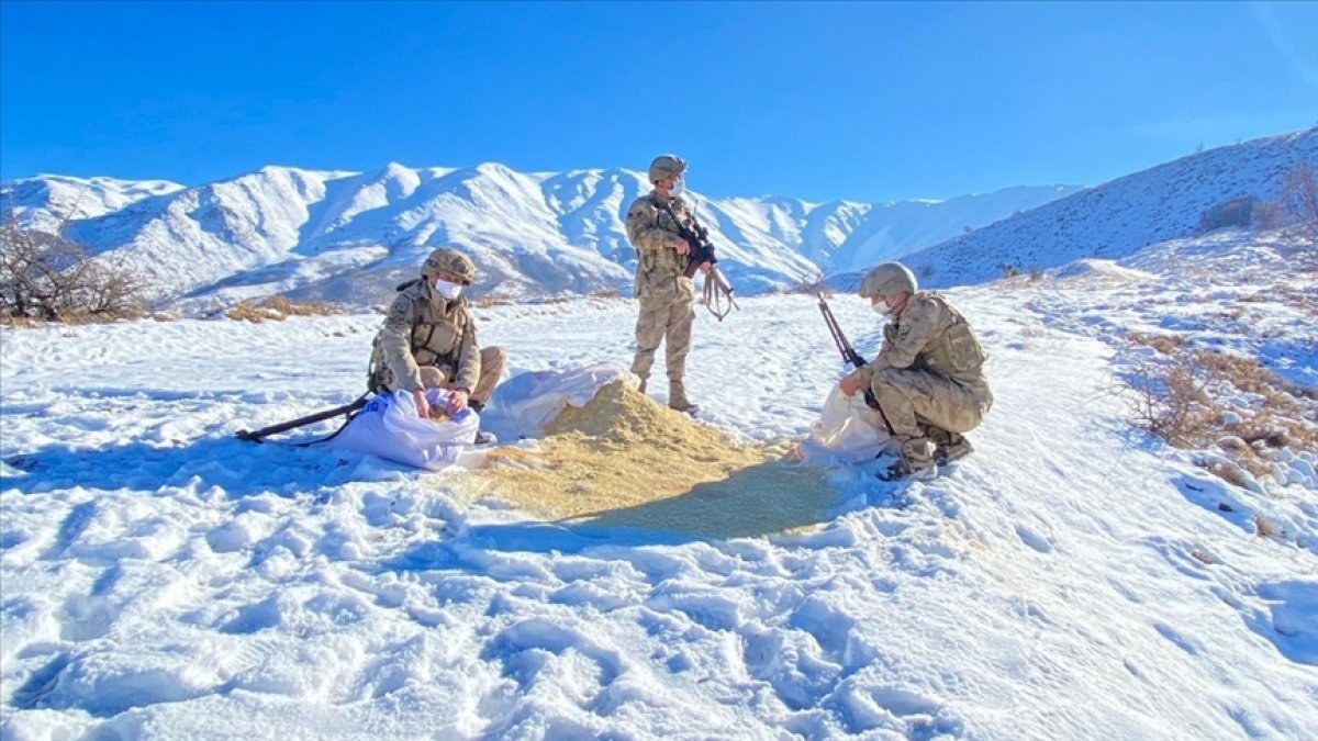 Elazığ'da jandarma ekipleri, yaban hayvanlarını unutmadı