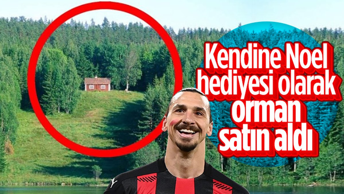 Zlatan Ibrahimovic kendisine orman satın aldı