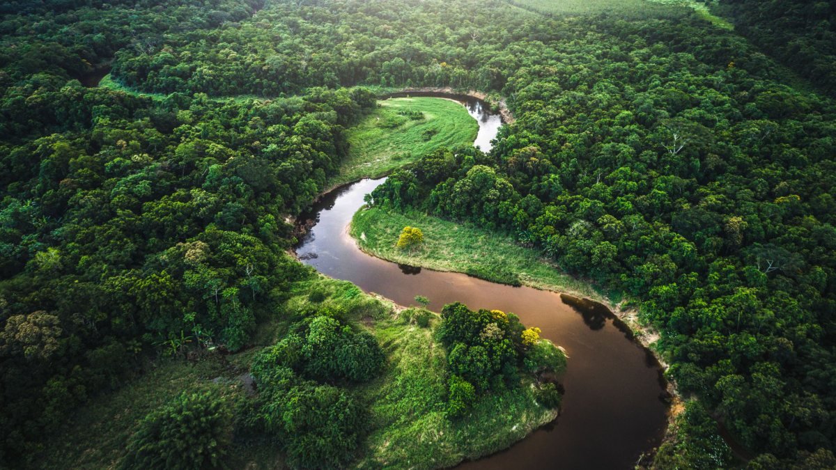 Amazon yağmur ormanları için 2064 uyarısı
