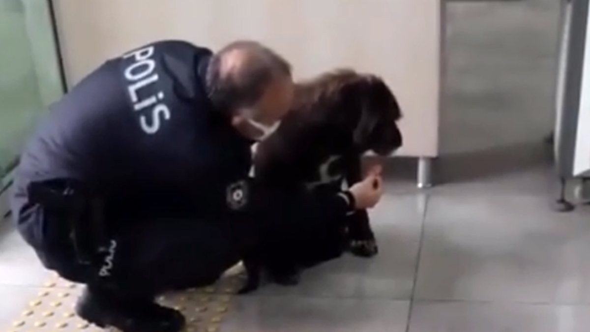 Antalya'da yağmurda ıslanan köpeğe polis şefkati
