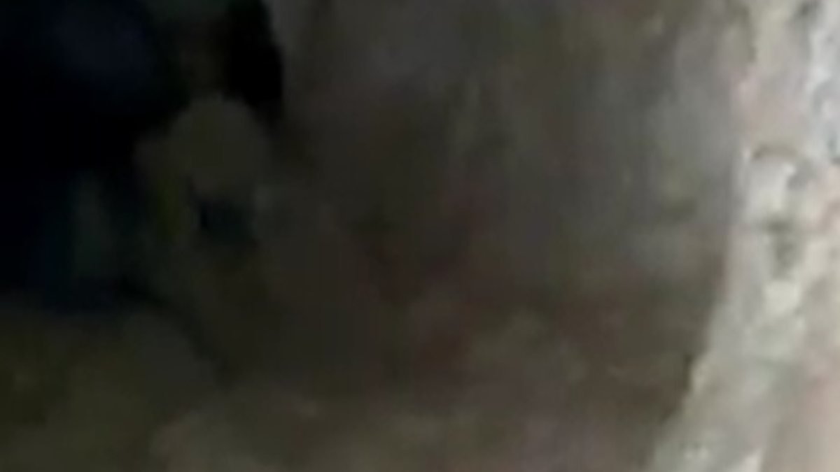Malatya'da mağarada görüntülenen esrarengiz canlı