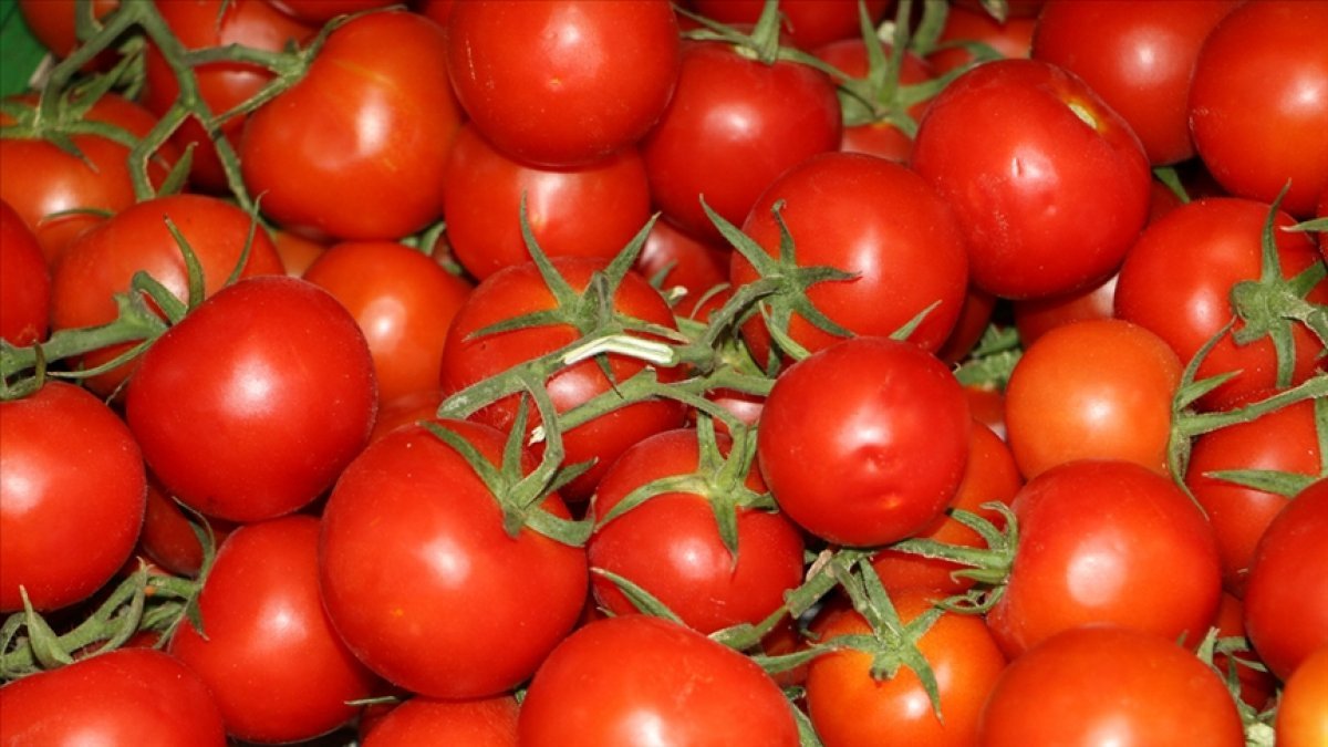 İstanbullular geçen yıl en çok domates ve patates satın aldı