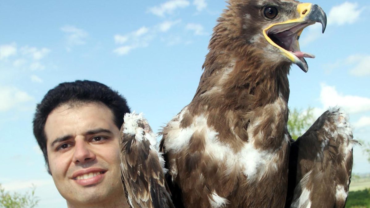 2020'de dünyada en çok kuş türünü, bir Türk gördü