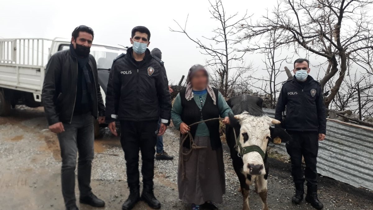 Malatya'da kaybolan ineği polis buldu